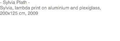 - Sylvia Plath - Sylvia, lambda print on aluminium and plexiglass, 200x125 cm, 2009